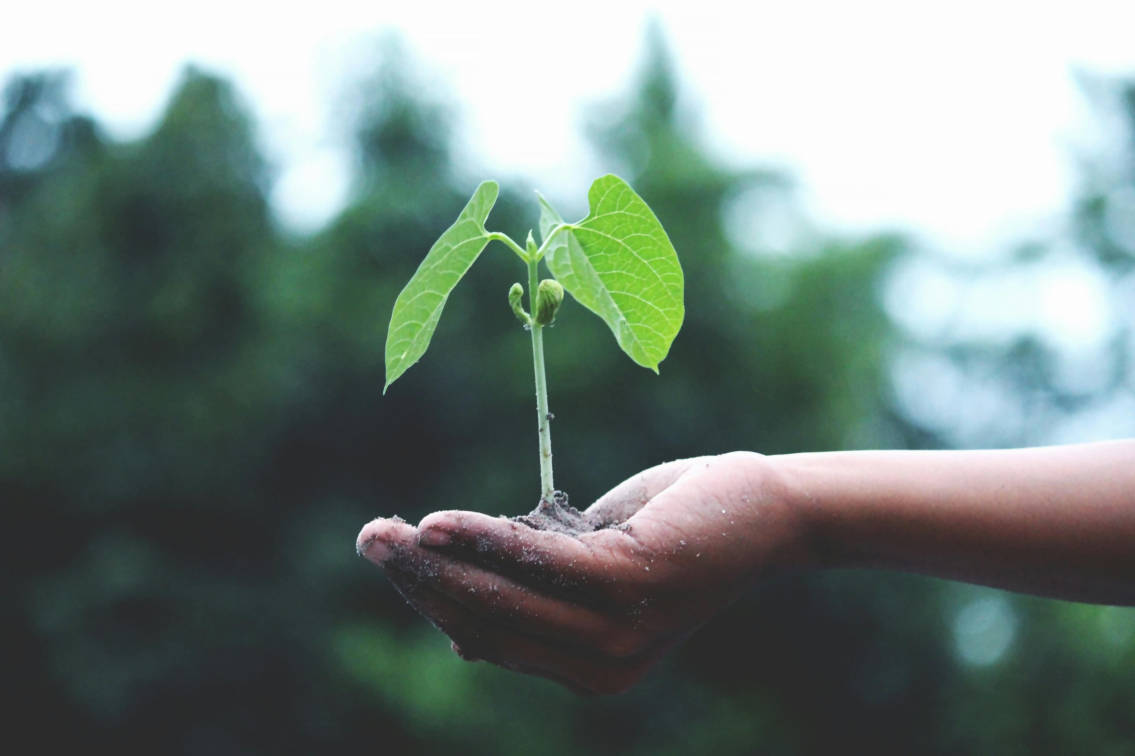 Sustainable manufacturing